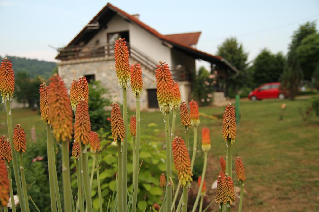 Apartment Eva Rakovica Kültér fotó
